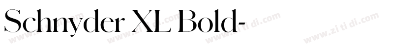 Schnyder XL Bold字体转换 Schnyder XL Bold字体转换